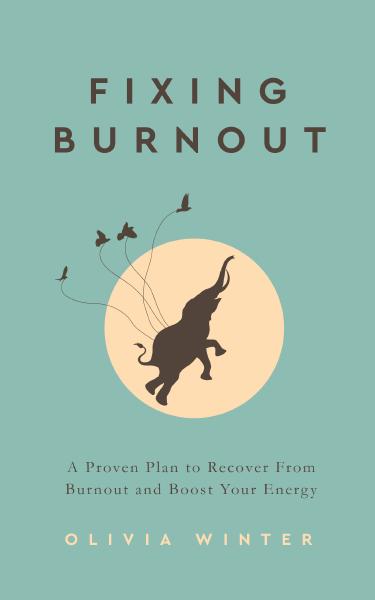 Book cover for Fixing Burnout